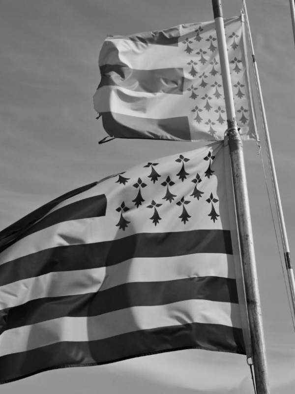 Kombucha : les bienfaits et les vertus thérapeutiques